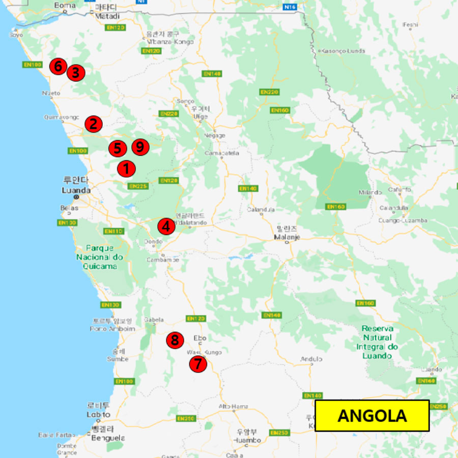 areas de negocio